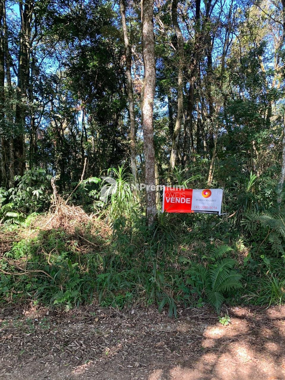 Chácara à venda, Rodeio Santo Antonio, BALSA NOVA - PR