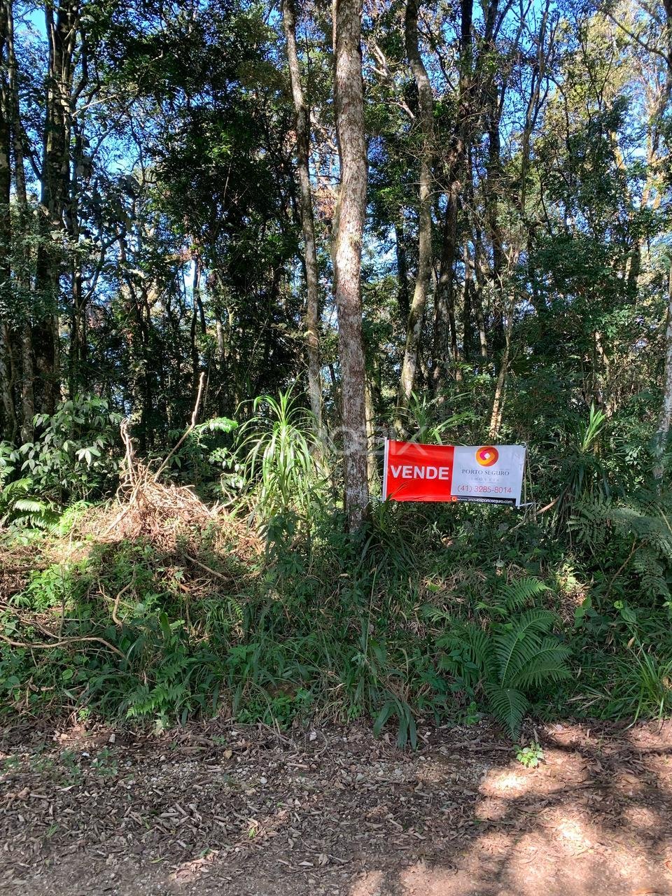 Chácara à venda, Rodeio Santo Antonio, BALSA NOVA - PR