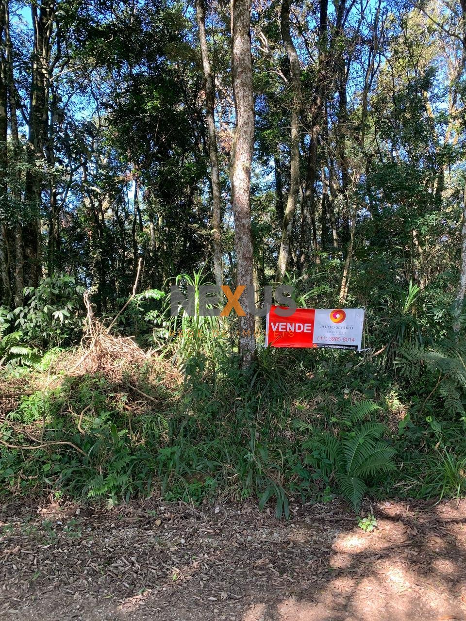 Chácara à Venda em Rodeio Santo Antônio  Balsa Nova PR  20.0...