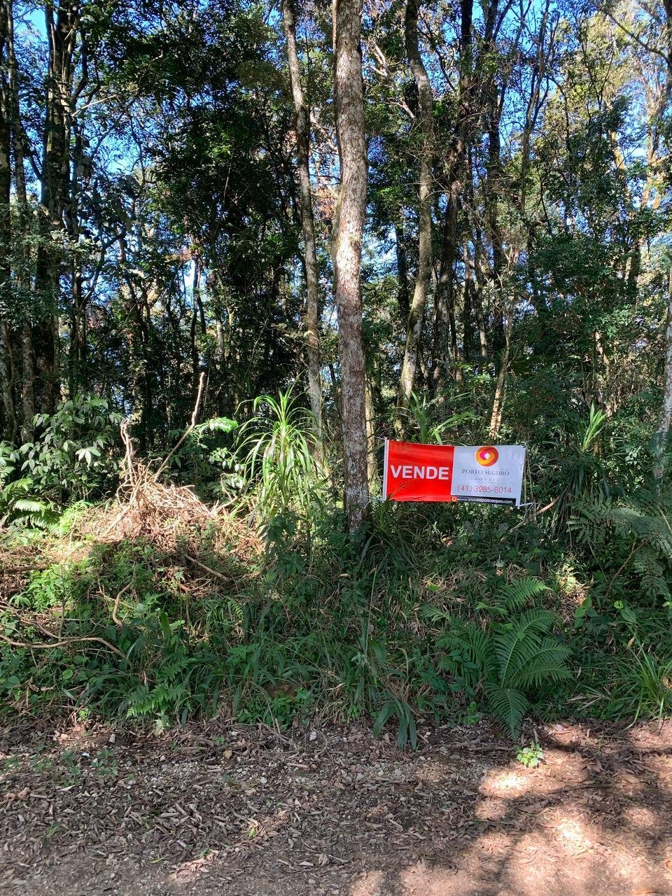Ch?cara ? venda, Rodeio Santo Antonio, BALSA NOVA - PR