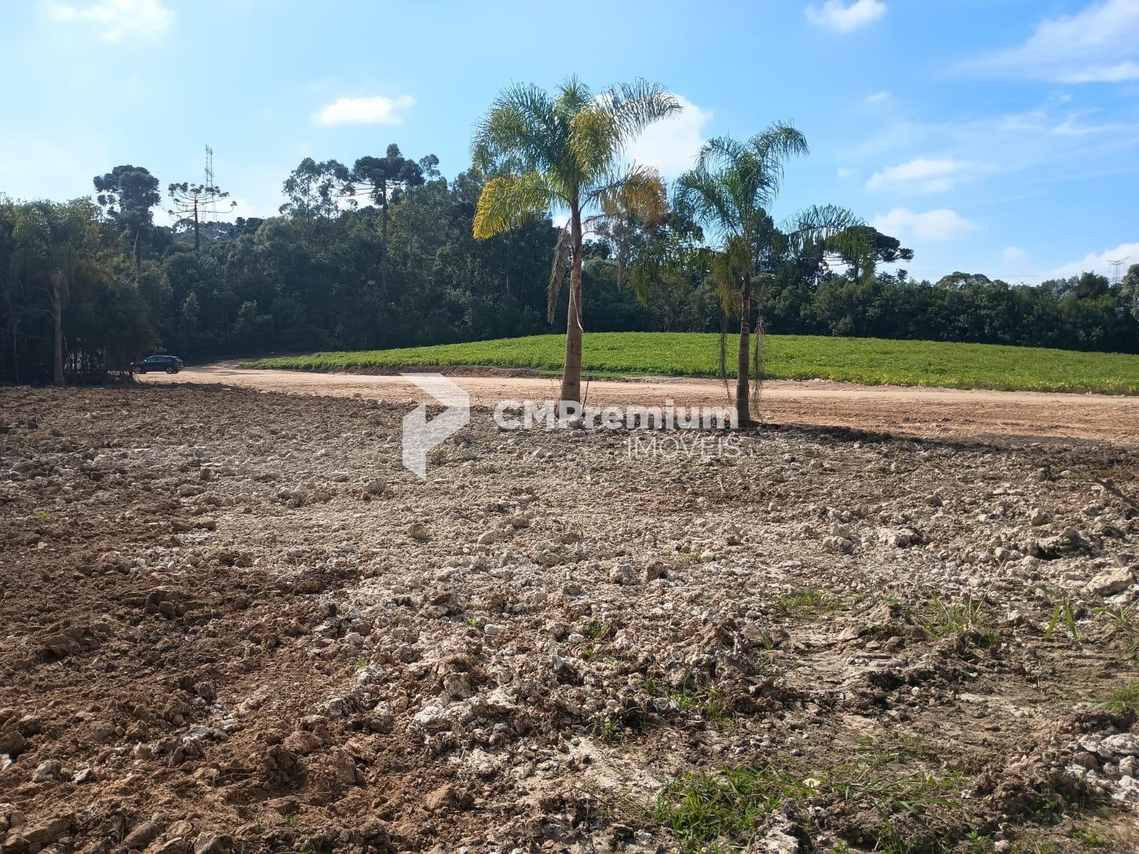 Terreno à venda, salgadinho, CAMPO LARGO - PR