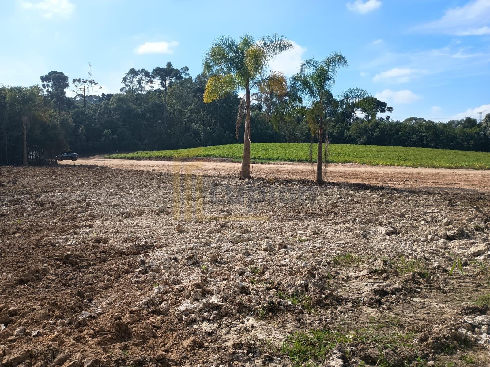 Terreno à venda, salgadinho, CAMPO LARGO - PR