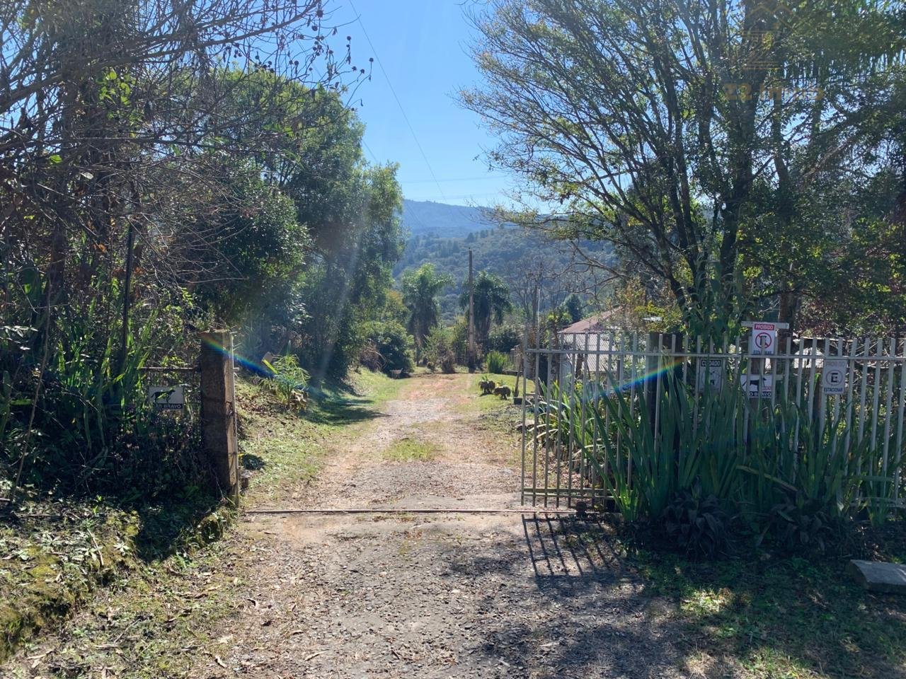 Chácara 4.600 m  com casa e pomar à venda na Estrada Itambé  ...