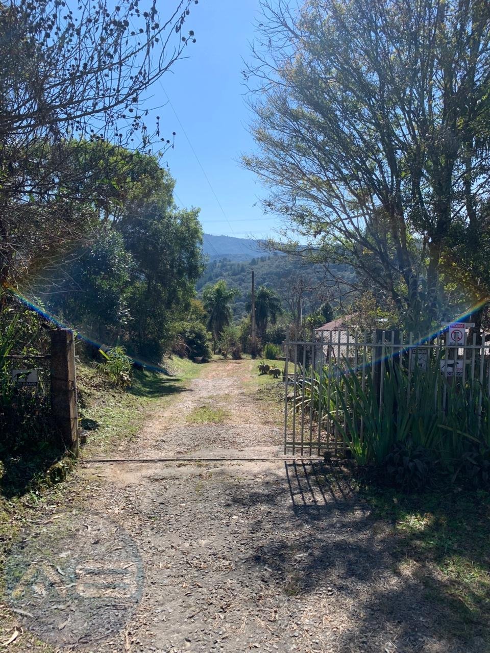 Ch?cara 4.600 m  com casa e pomar ? venda na Estrada Itamb? ? ...