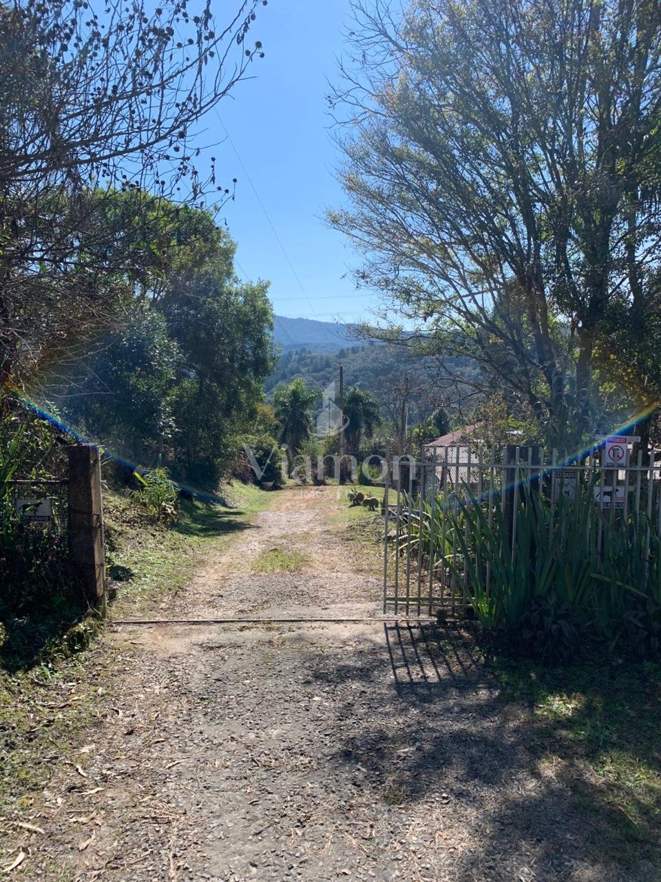 Chácara 4.600 m  com casa e pomar à venda na Estrada Itambé  ...