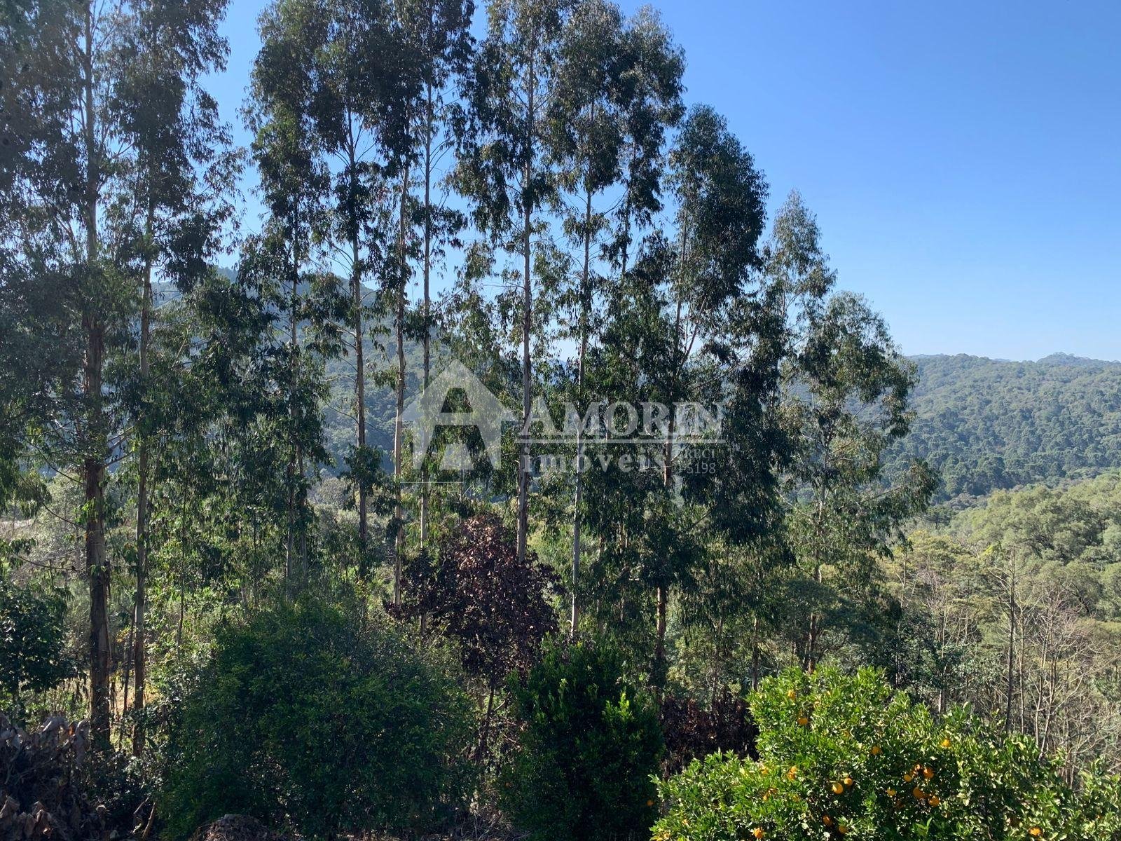 Chácara 4.600 m  com casa e pomar à venda na Estrada Itambé  ...