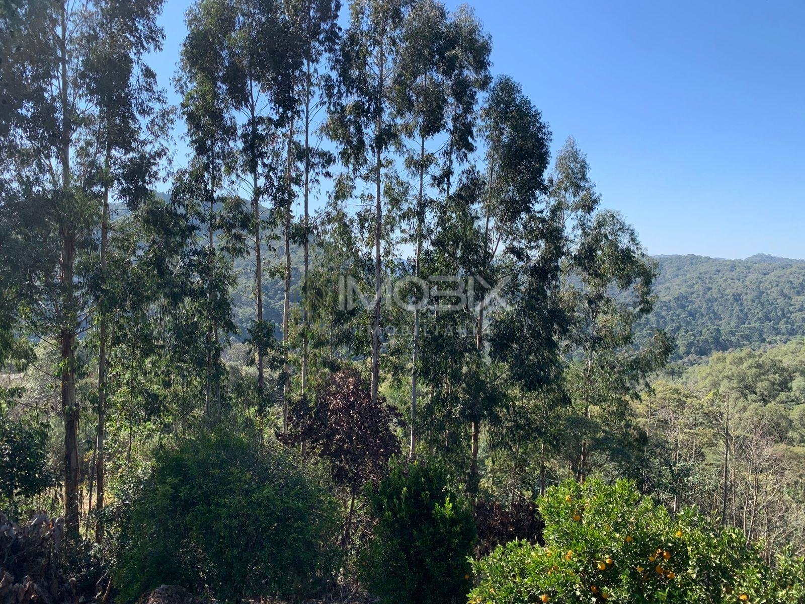 Chácara 4.600 m  com casa e pomar à venda na Estrada Itambé  ...