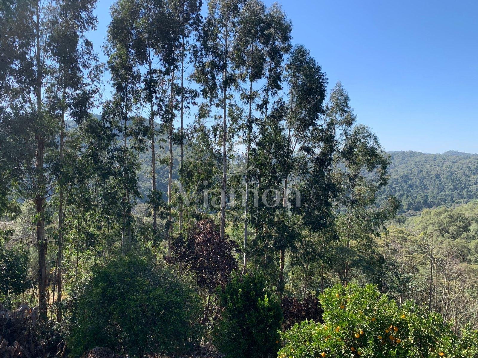 Chácara 4.600 m  com casa e pomar à venda na Estrada Itambé  ...