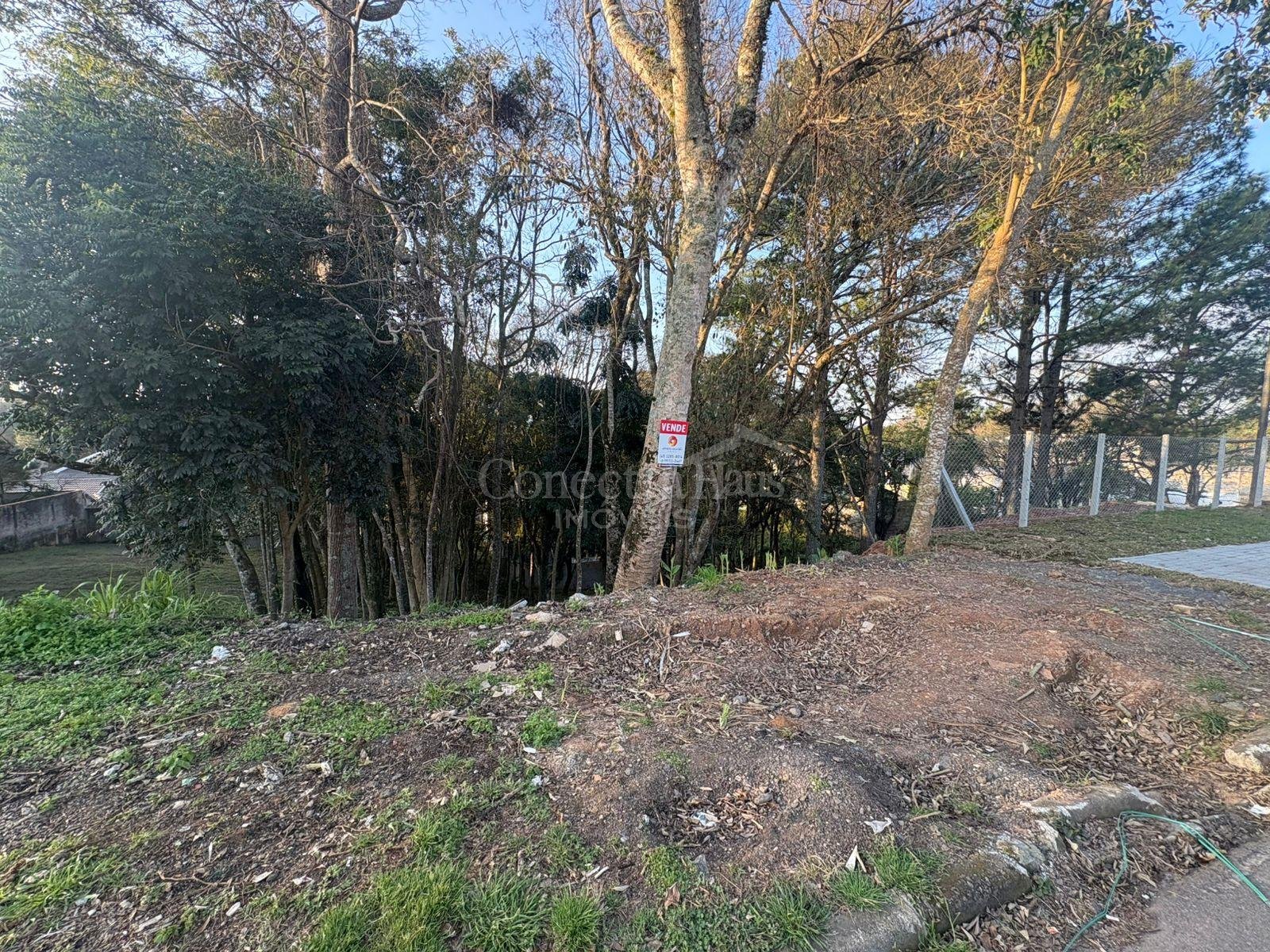 Terreno à venda, 630 m  por R  450.000,00 - Santo Inácio - Cur...