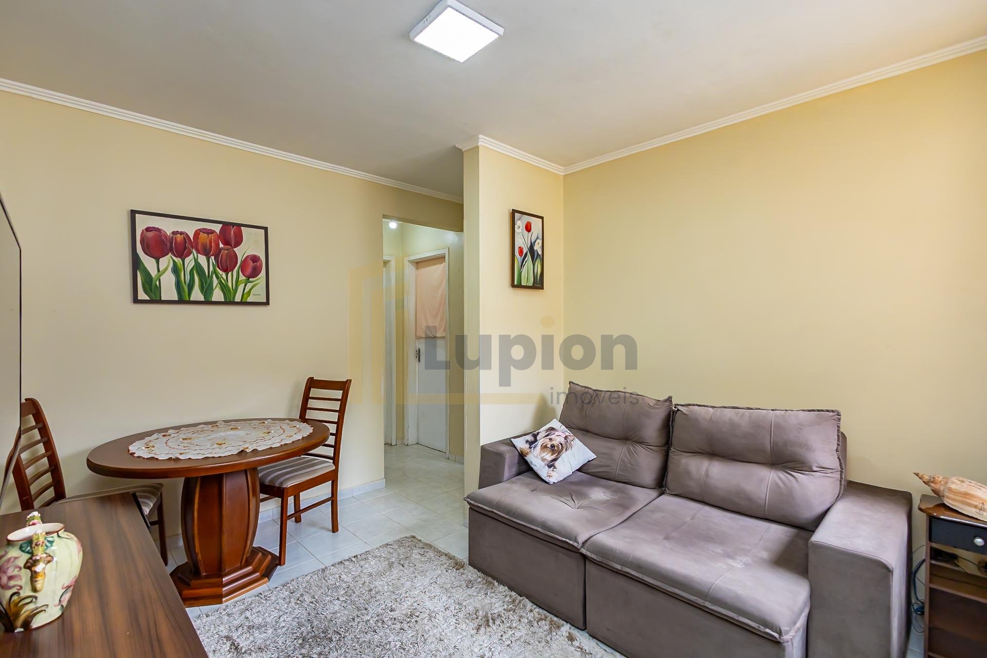 Apartamento 2 quartos ensolarado | 46 m  privativos | Rua João...