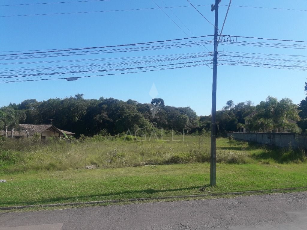 Terreno à venda, 16.500 m² por R$ 1.889.000 - São Miguel - Ara...