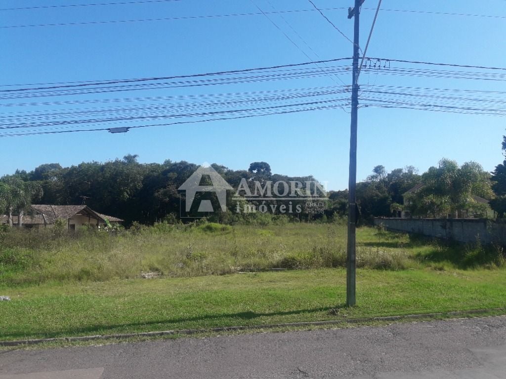 Terreno à venda, 16.500 m² por R$ 1.889.000 - São Miguel - Ara...