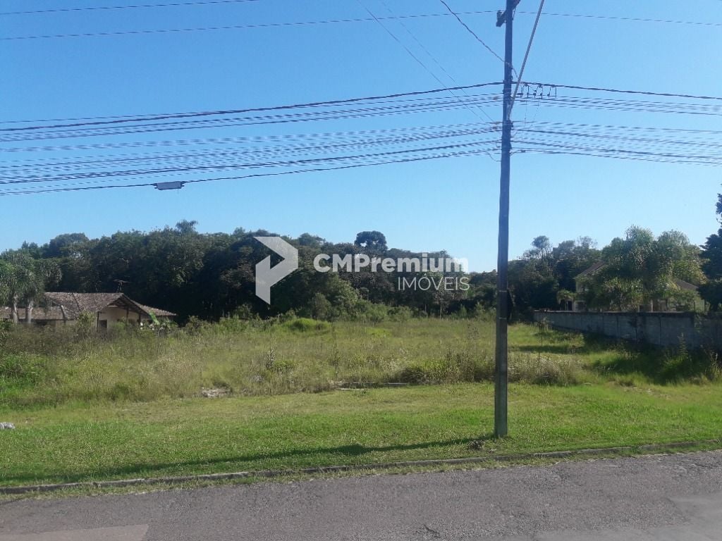 Terreno à venda, 16.500 m² por R$ 1.889.000 - São Miguel - Ara...
