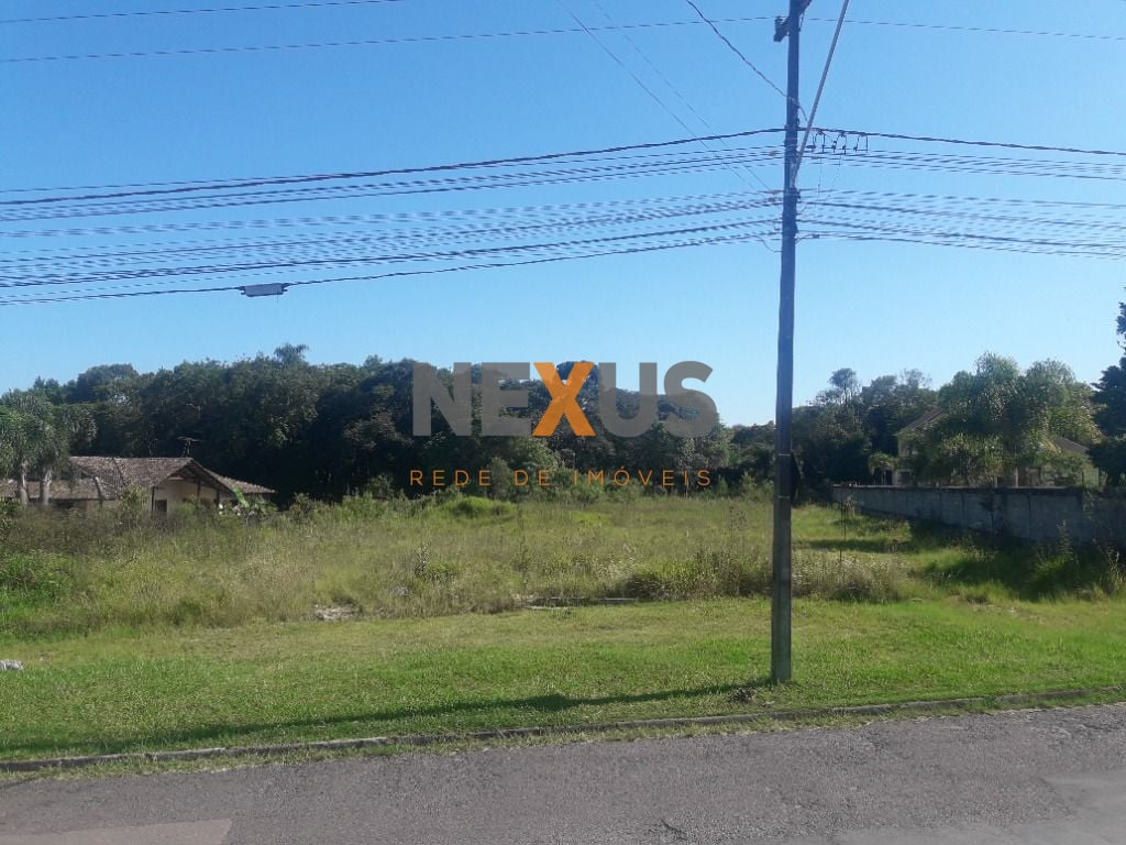 Terreno à venda, 16.500 m² por R$ 1.889.000 - São Miguel - Ara...