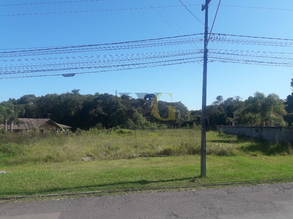 Terreno à venda, 16.500 m² por R$ 1.889.000 - São Miguel - Ara...