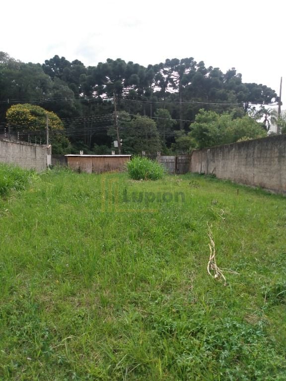 Terreno à venda,  ZR-3 - 550m² por R$1.450.000,00  Mossunguê ...