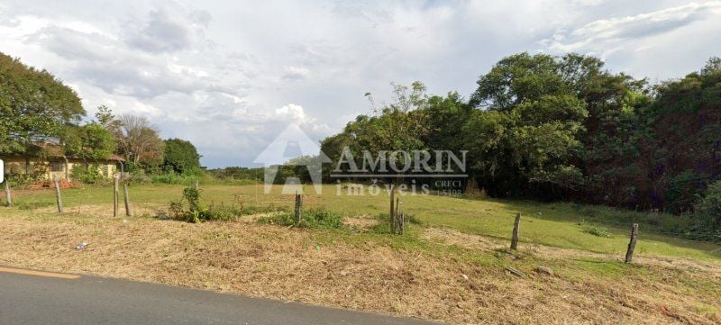 Área à venda, 9129 m²  R$ 850,00M²- Santa Felicidade - Curitib...