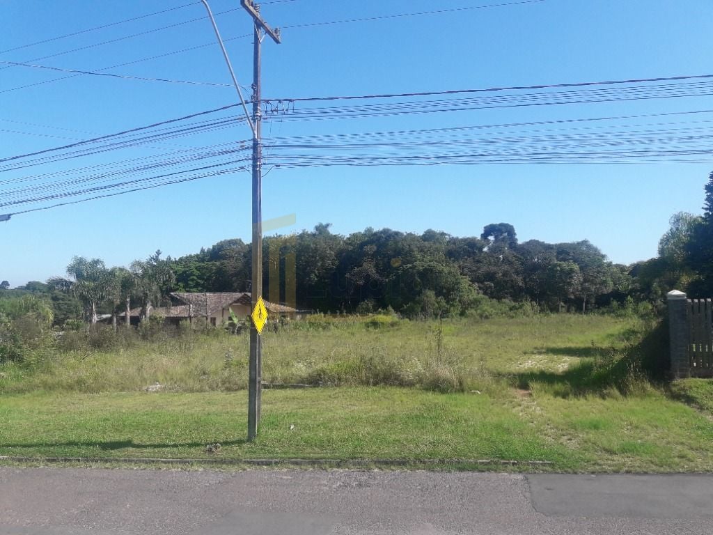 Terreno à venda, 16.500 m² por R$ 1.889.000 - São Miguel - Ara...