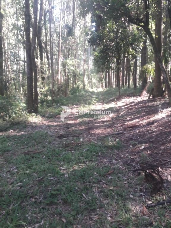 Terreno à venda, 16.500 m² por R$ 1.889.000 - São Miguel - Ara...