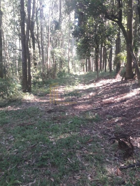 Terreno à venda, 16.500 m² por R$ 1.889.000 - São Miguel - Ara...