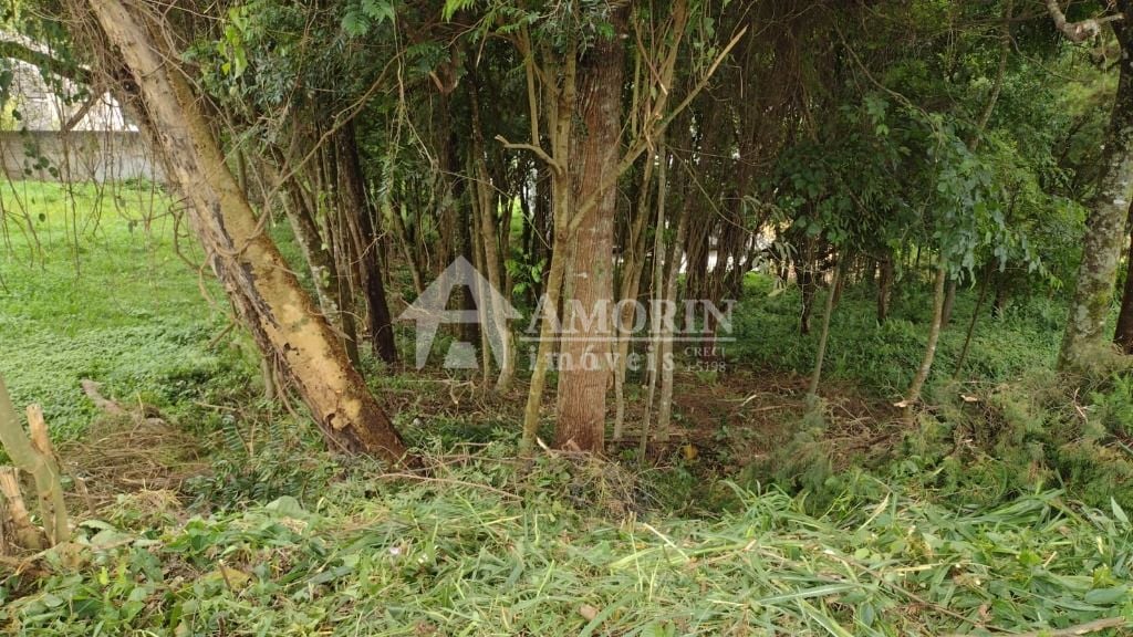 Terreno à venda, 630 m  por R  590.000,00 - Santo Inácio - Cur...