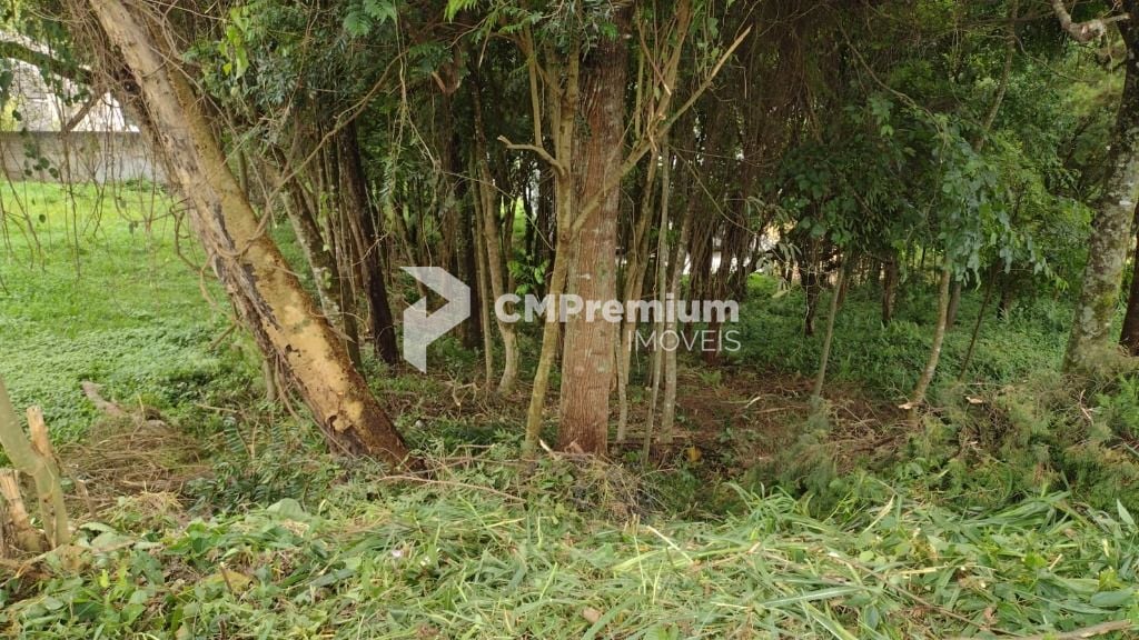Terreno à venda, 630 m  por R  590.000,00 - Santo Inácio - Cur...