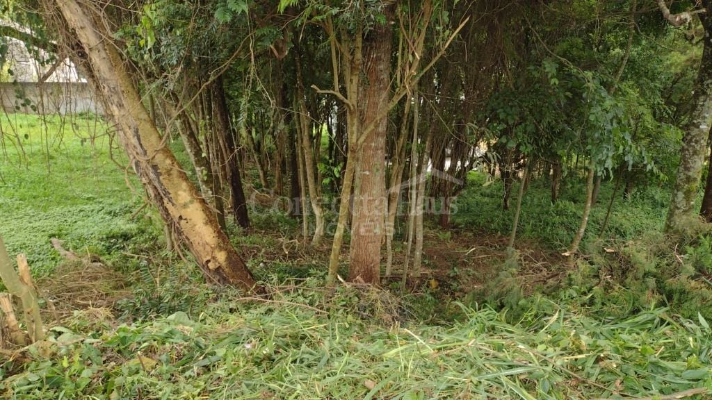 Terreno à venda, 630 m  por R  450.000,00 - Santo Inácio - Cur...