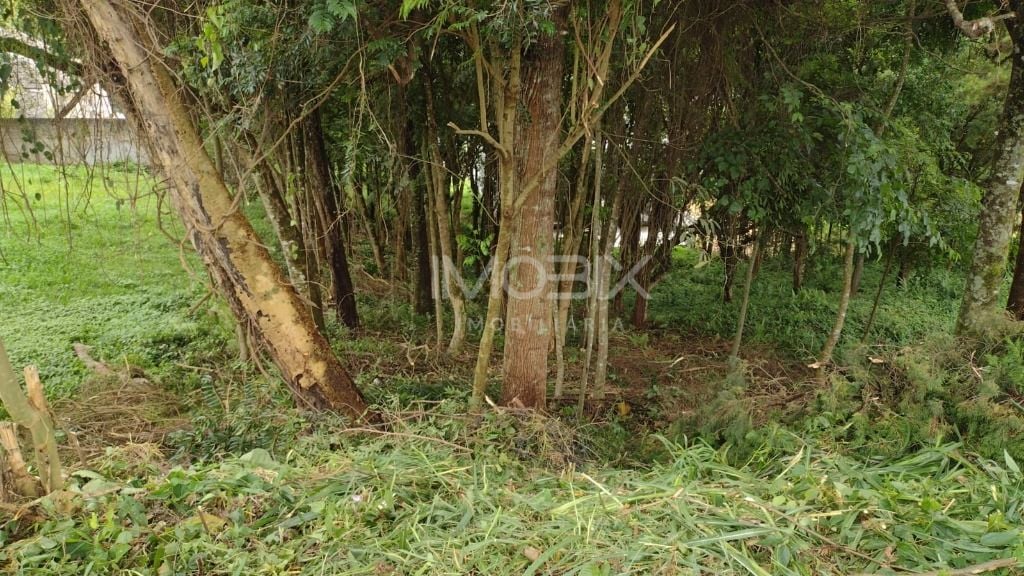 Terreno à venda, 630 m  por R  590.000,00 - Santo Inácio - Cur...