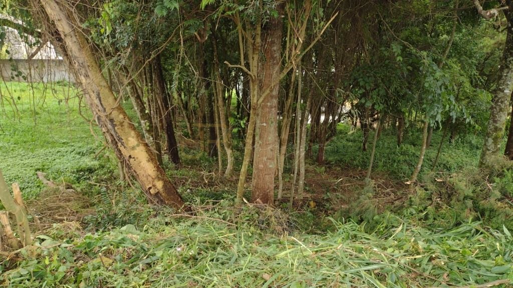 Terreno à venda, 630 m  por R  590.000,00 - Santo Inácio - Cur...
