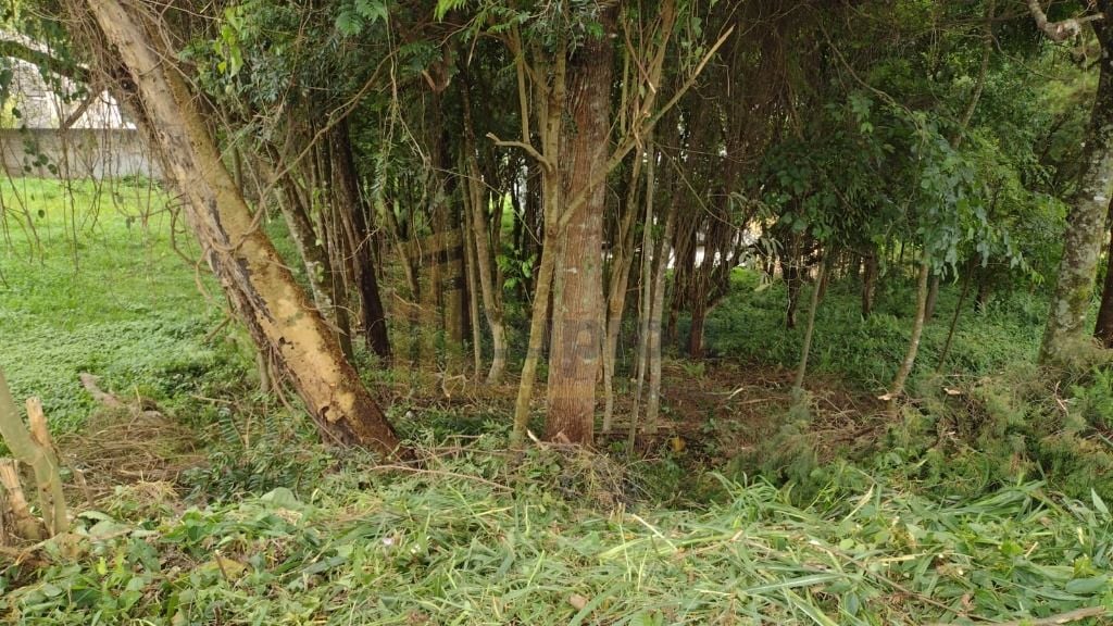 Terreno à venda, 630 m  por R  590.000,00 - Santo Inácio - Cur...