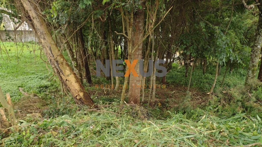 Terreno à venda, 630 m  por R  590.000,00 - Santo Inácio - Cur...