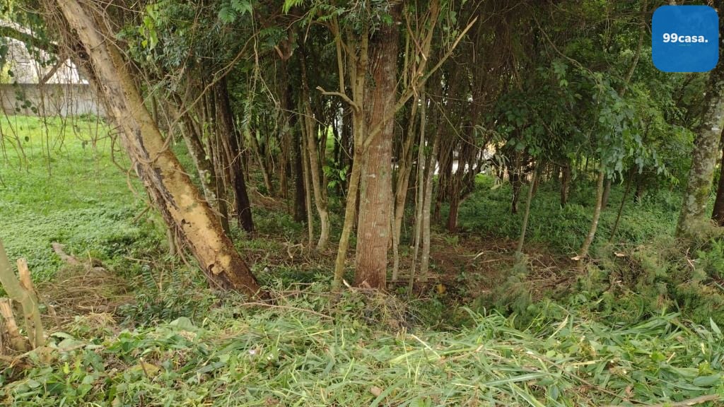 Terreno à venda, 630 m  por R  590.000,00 - Santo Inácio - Cur...