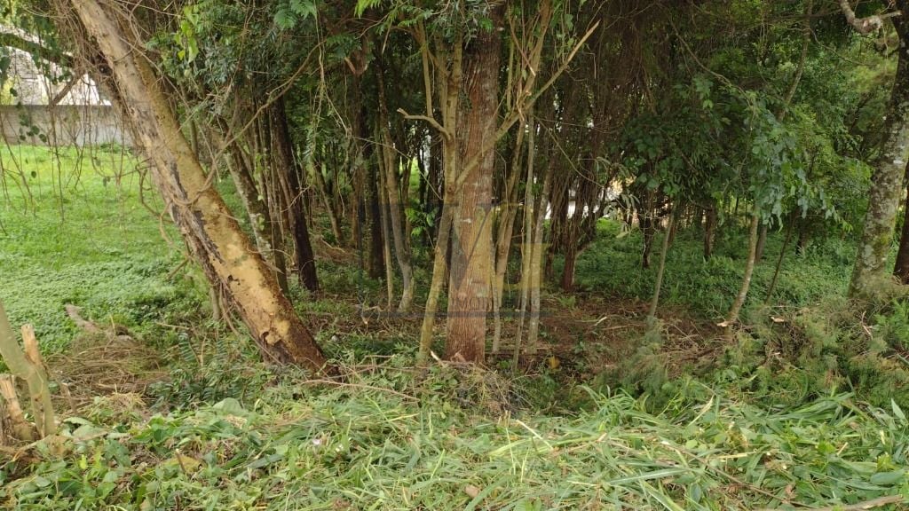 Terreno à venda, 630 m  por R  590.000,00 - Santo Inácio - Cur...