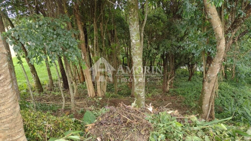 Terreno à venda, 630 m  por R  590.000,00 - Santo Inácio - Cur...