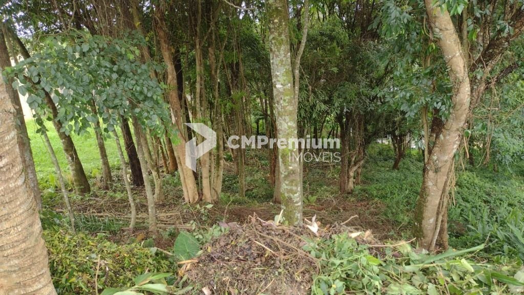 Terreno à venda, 630 m  por R  590.000,00 - Santo Inácio - Cur...