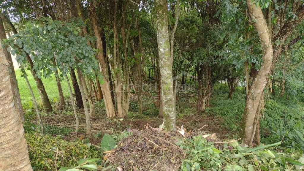 Terreno à venda, 630 m  por R  450.000,00 - Santo Inácio - Cur...
