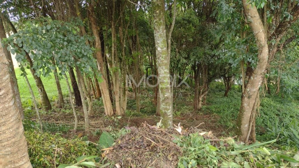 Terreno à venda, 630 m  por R  590.000,00 - Santo Inácio - Cur...