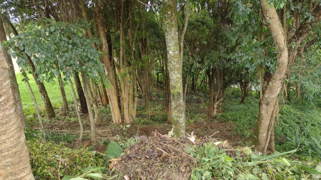 Terreno à venda, 630 m  por R  590.000,00 - Santo Inácio - Cur...