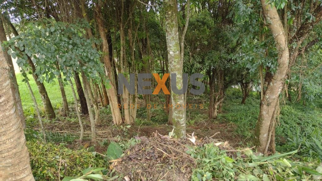 Terreno à venda, 630 m  por R  590.000,00 - Santo Inácio - Cur...