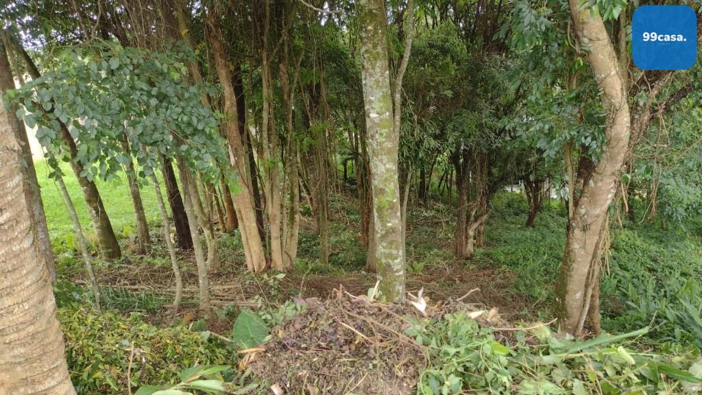 Terreno à venda, 630 m  por R  590.000,00 - Santo Inácio - Cur...