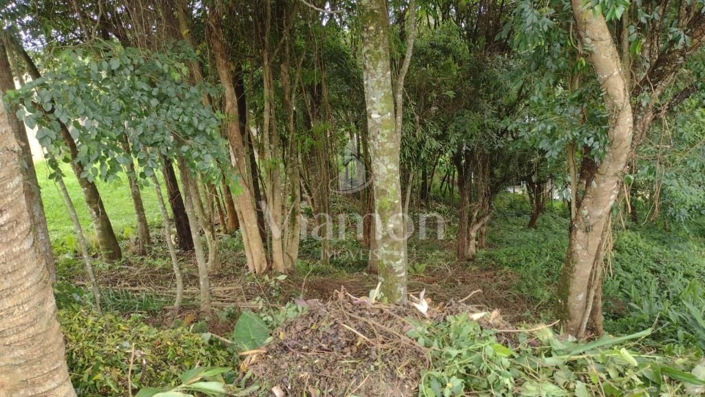 Terreno à venda, 630 m  por R  590.000,00 - Santo Inácio - Cur...