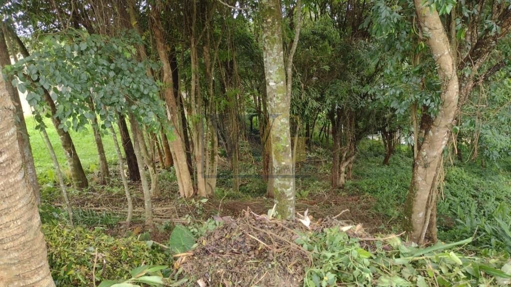 Terreno à venda, 630 m  por R  590.000,00 - Santo Inácio - Cur...