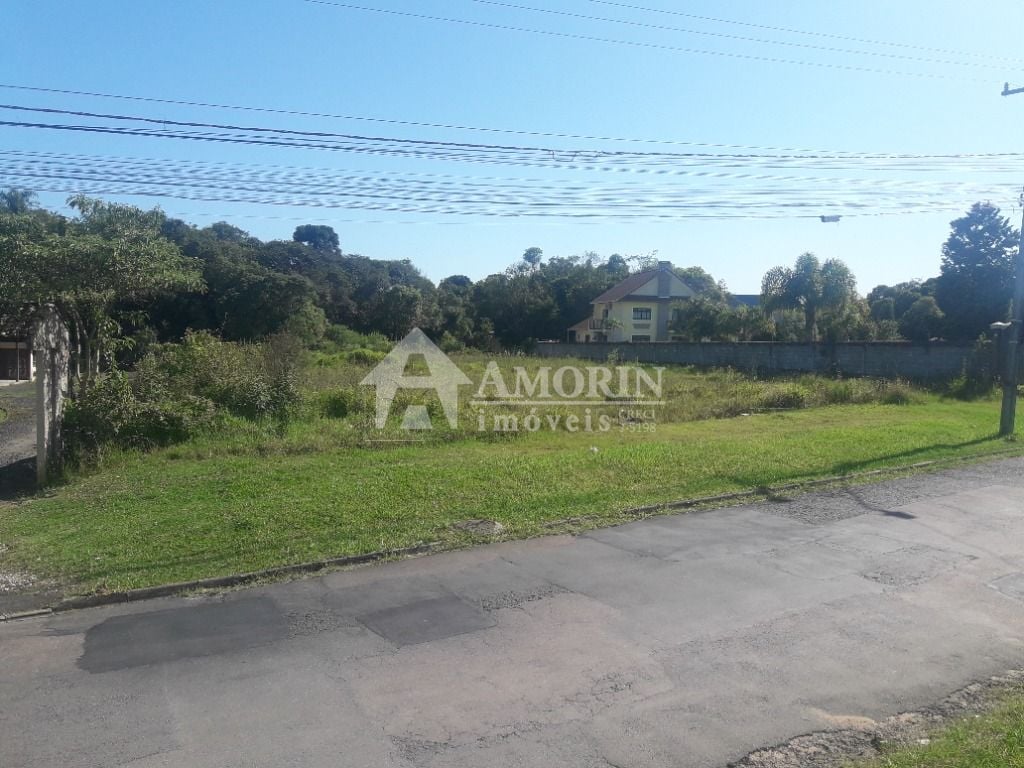 Terreno à venda, 16.500 m² por R$ 1.889.000 - São Miguel - Ara...