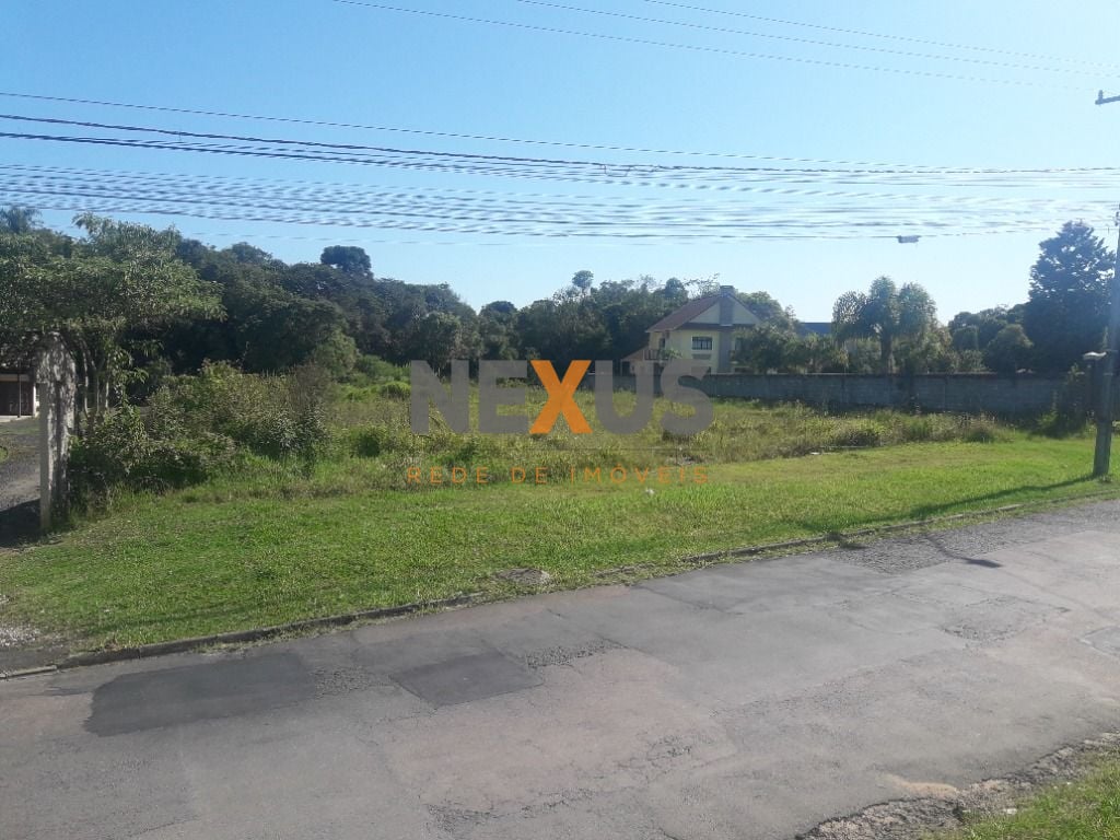 Terreno à venda, 16.500 m² por R$ 1.889.000 - São Miguel - Ara...