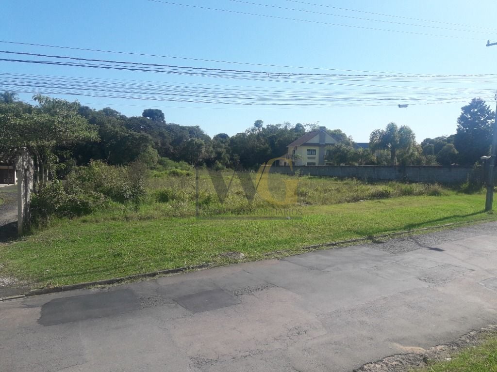 Terreno à venda, 16.500 m² por R$ 1.889.000 - São Miguel - Ara...
