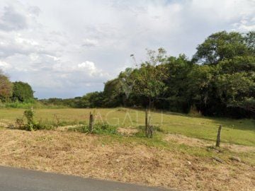 Área à venda, 9129 m²  R$ 850,00M²- Santa Felicidade - Curitib...