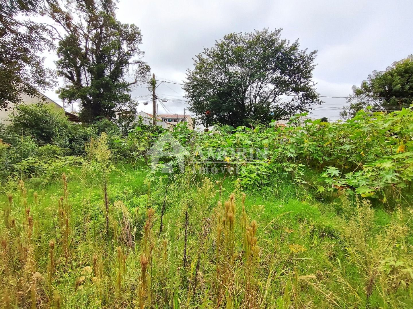 Próximo ao Jd. Vergínia - Plano - 2.484,00m 