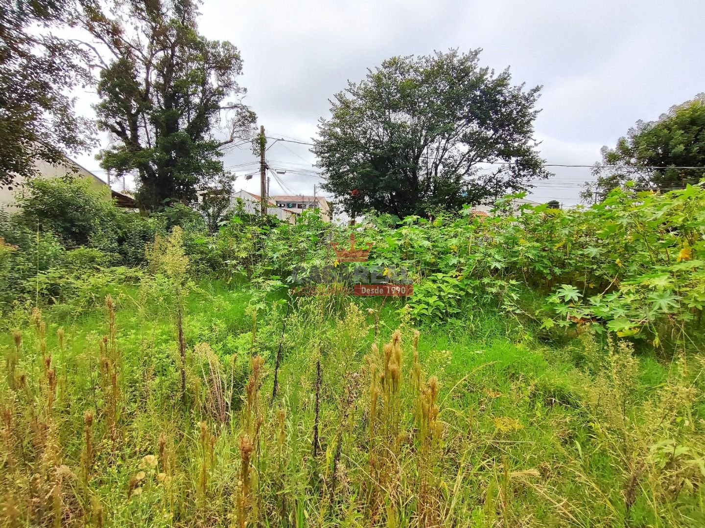 Terreno à venda, 2484m² - Foto 4