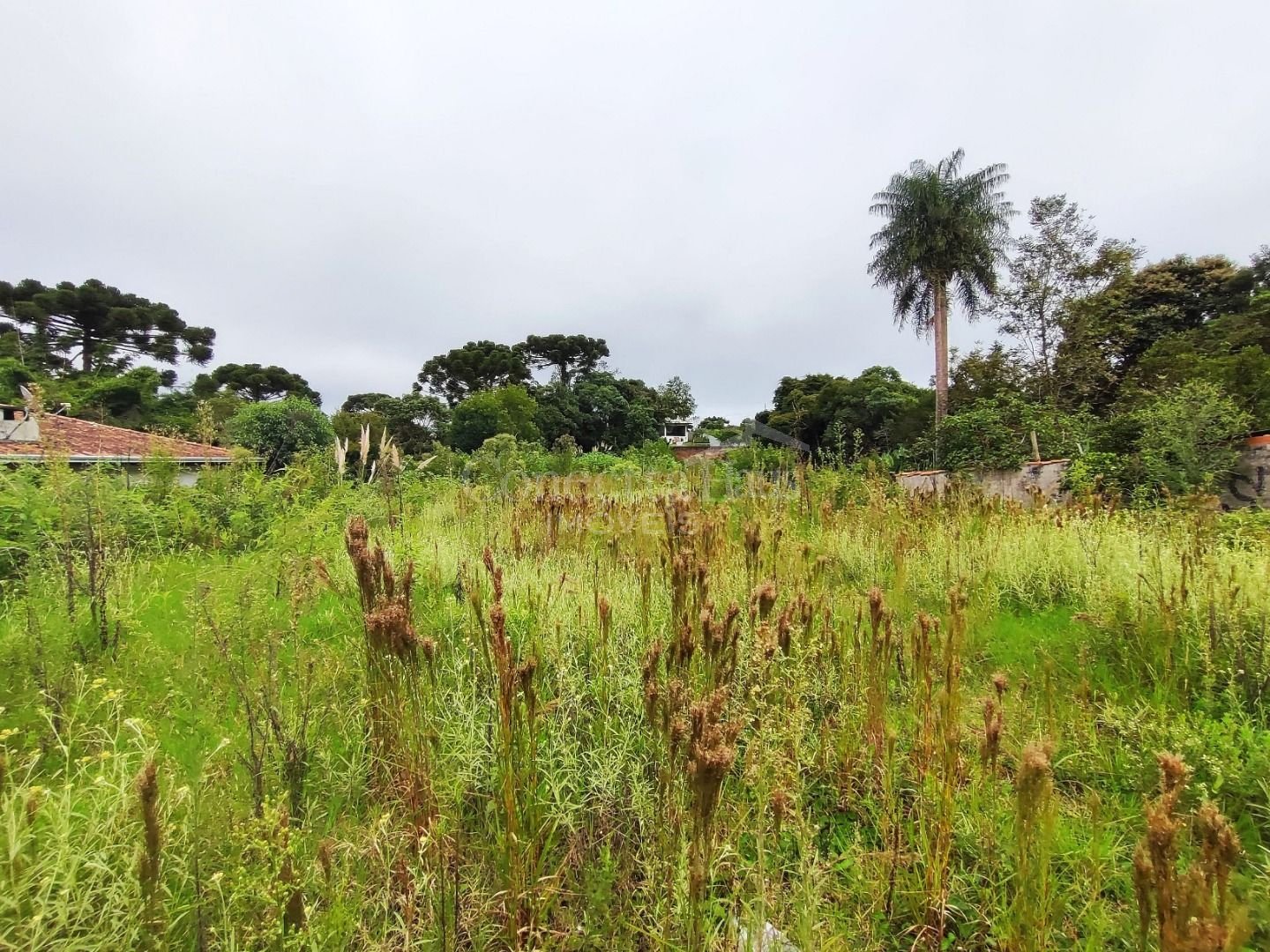 Próximo ao Jd. Vergínia - Plano - 2.484,00m 
