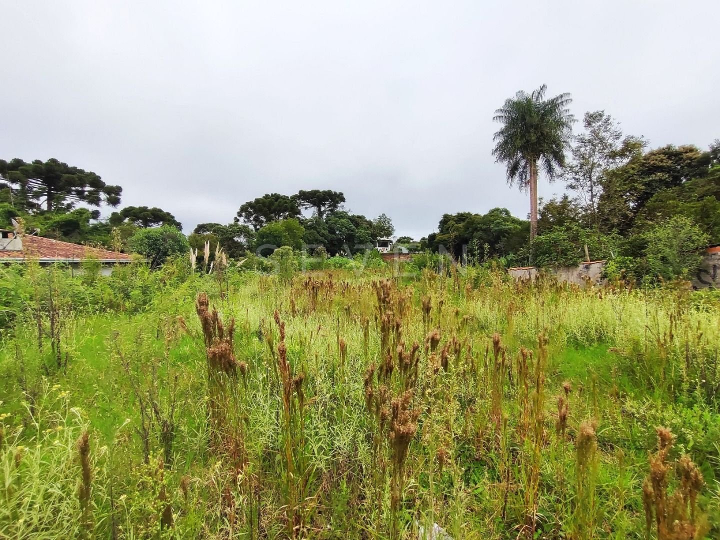 Próximo ao Jd. Vergínia - Plano - 2.484,00m 